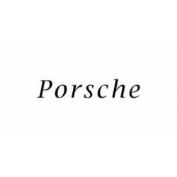 Coperchio Del Tronco Porsche